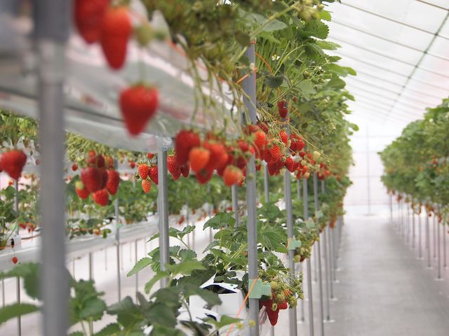 �݂܂���������