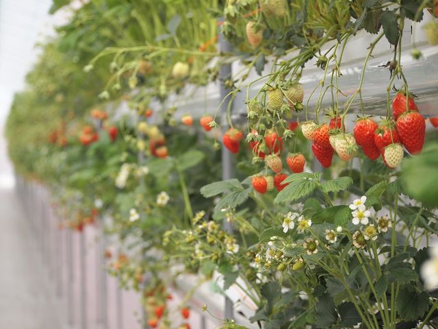 �݂܂���������