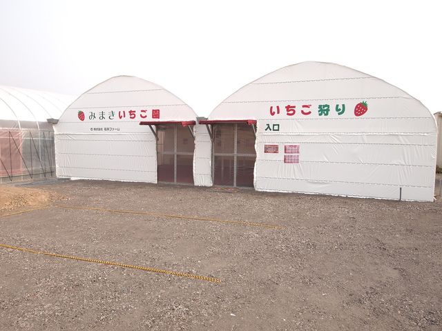 ��t����_�݂܂���������