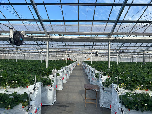 �������_���������s�A�b�c�@