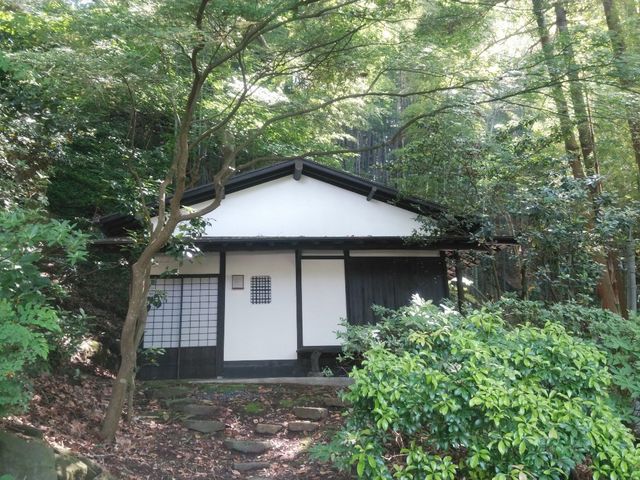 ����U��
����_�Ȃ����q