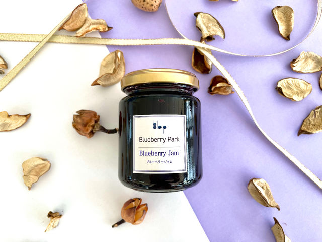 �u���[�x���[�W����_�u���[�x���[�p�[�N���c