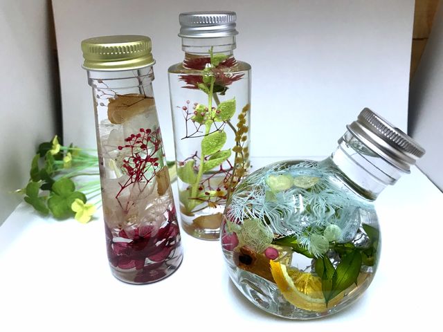 �n�[�o���E��_Futur