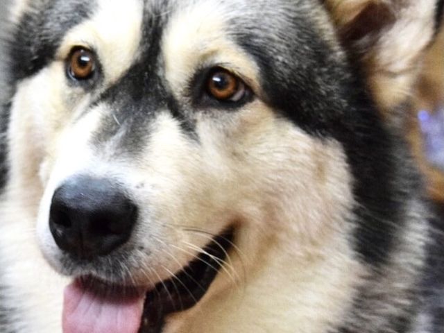 �Ŕ����l���������ł�_Futur