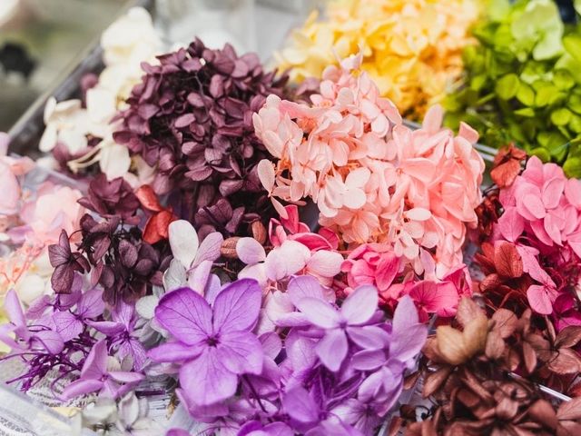 �n�[�o���E���̍ޗ�_Futur