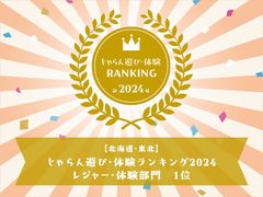 ANAzfCECDŷ̎ʐ^1