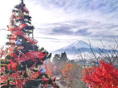 ハーブ庭園旅日記 富士河口湖庭園の写真1