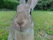 rbgCiO]v쓇qHj̎ʐ^3