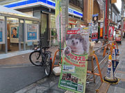 nlY~cafe HARRY WOODin[EbhjȂΓX̎ʐ^4