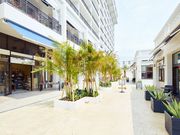 �I�L�i���n�i�T�L�}���V�F�̎ʐ^3