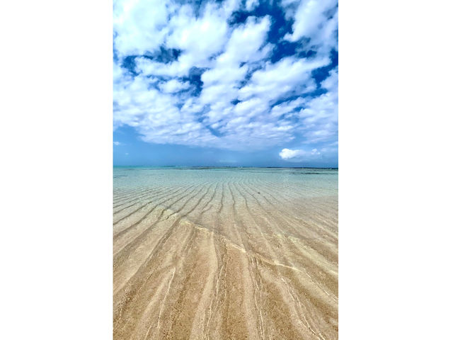 ����_tome cruise