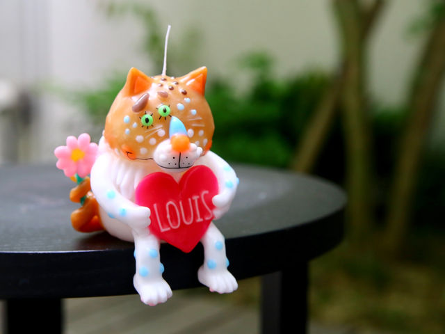 �����Ă���L�����̃L�����h��_Acandle