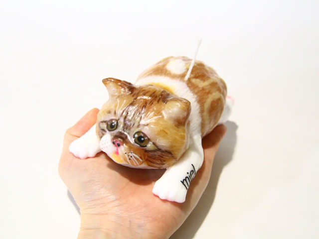 �����Ă�L���������A���ɂ��B_Acandle