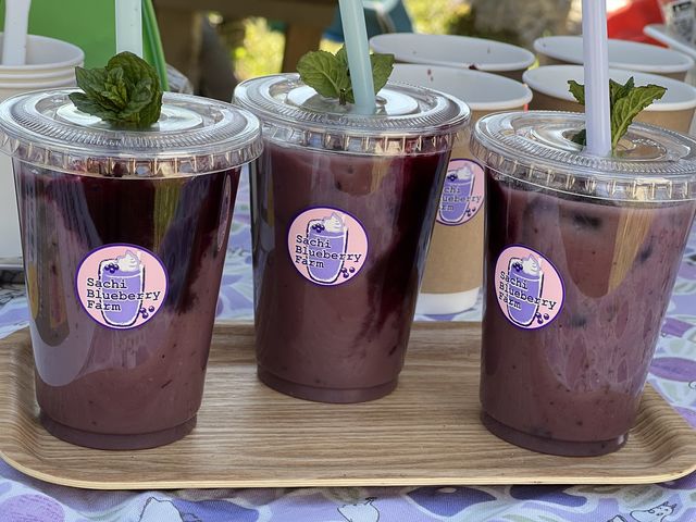 Sachi Blueberry Farm