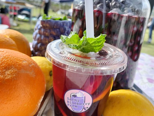Sachi Blueberry Farm