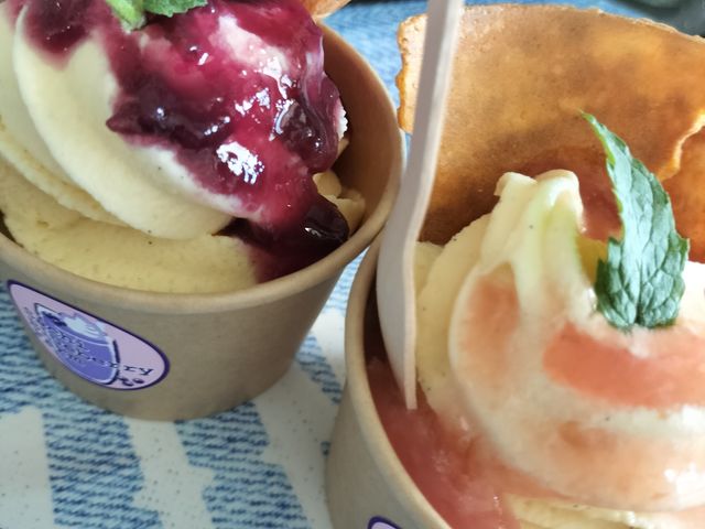 Sachi Blueberry Farm