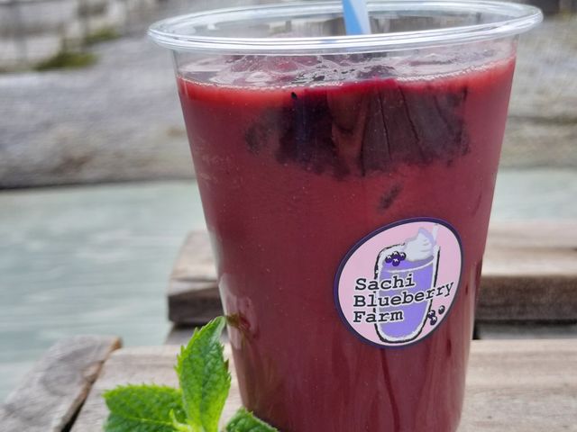 Sachi Blueberry Farm