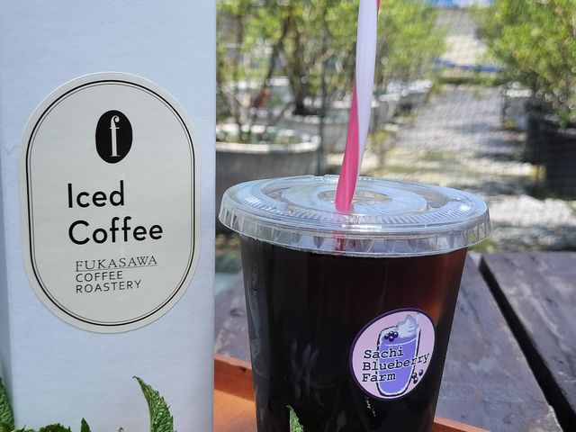 Sachi Blueberry Farm