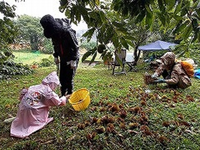 �J�̒��ŌI�E��_���킹�݃n�E�X