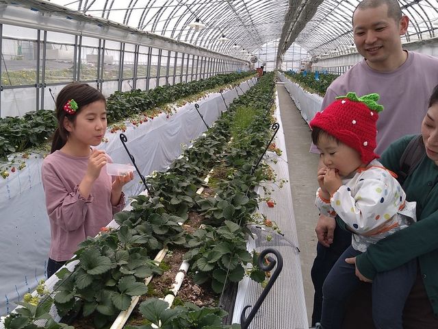 �������̃j�b�g�X�Ɣ����߂ł���������_�����x�G�i�W�[�t�@�[���@���������Ƃ��������̐X