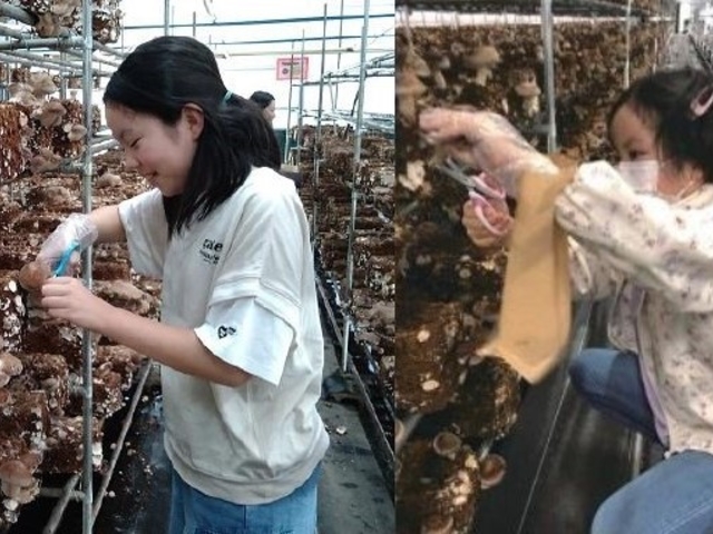 ���N�����������@���q�l�̐����̗l�q���f���܂��ˁ�_�����x�G�i�W�[�t�@�[���@���������Ƃ��������̐X