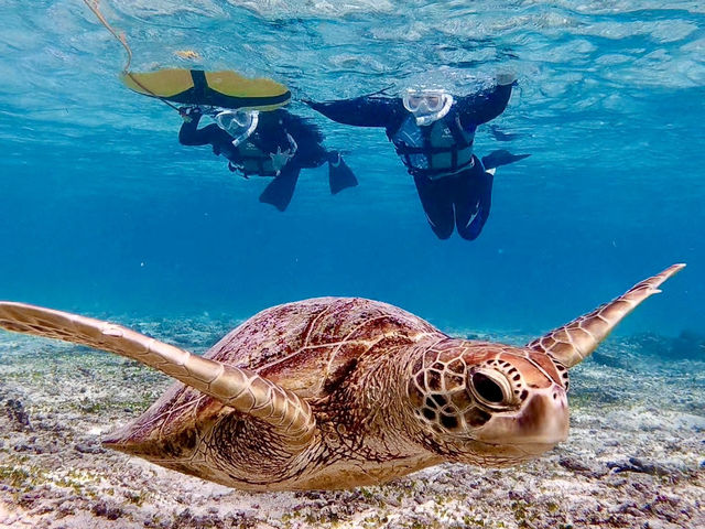 ForY�{�Ó��̎ʐ^1