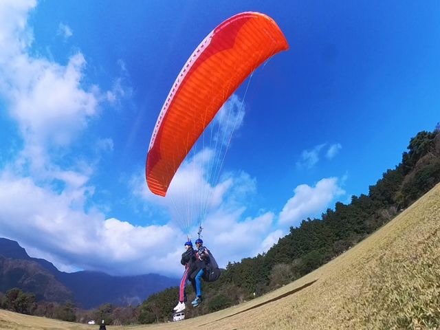 �e�C�N�I�t�͂������葖��܂�_�T�j�[�T�C�h�A�E�g�h�A�X�N�[��