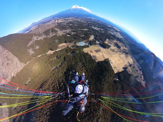 �x�m�R�Ɍ������ăt���C�g���܂�_�T�j�[�T�C�h�A�E�g�h�A�X�N�[��