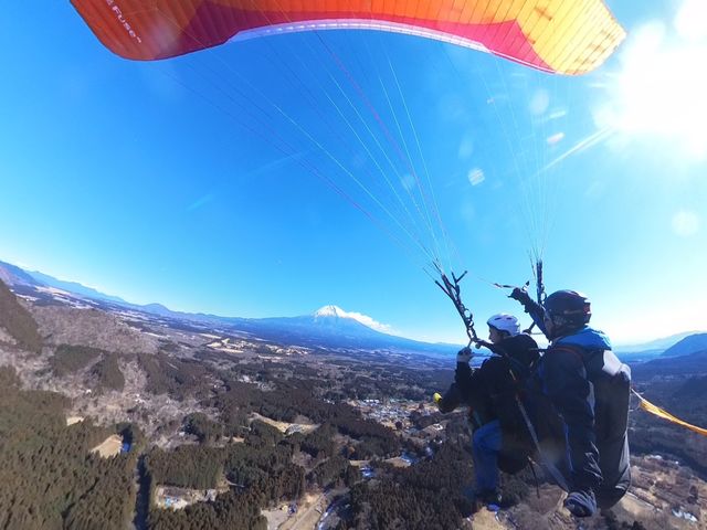 �قƂ�ǂ����߂Ă̕��ł�_�T�j�[�T�C�h�A�E�g�h�A�X�N�[��