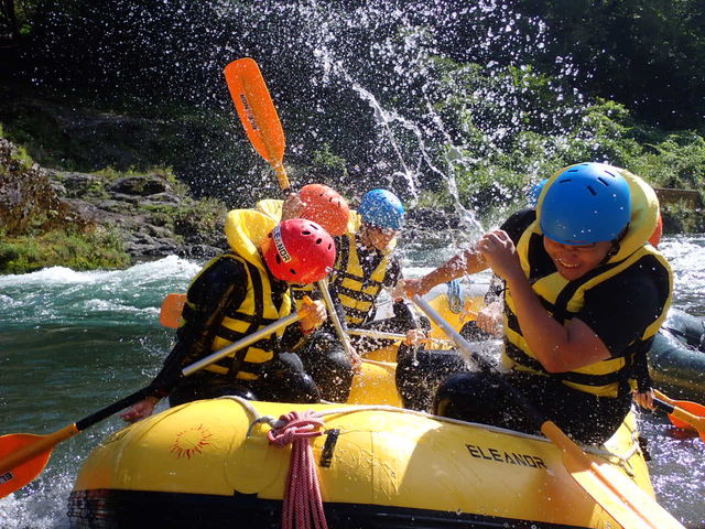 ELEANOR (�G���m�A)