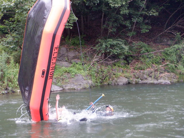 ELEANOR (�G���m�A)