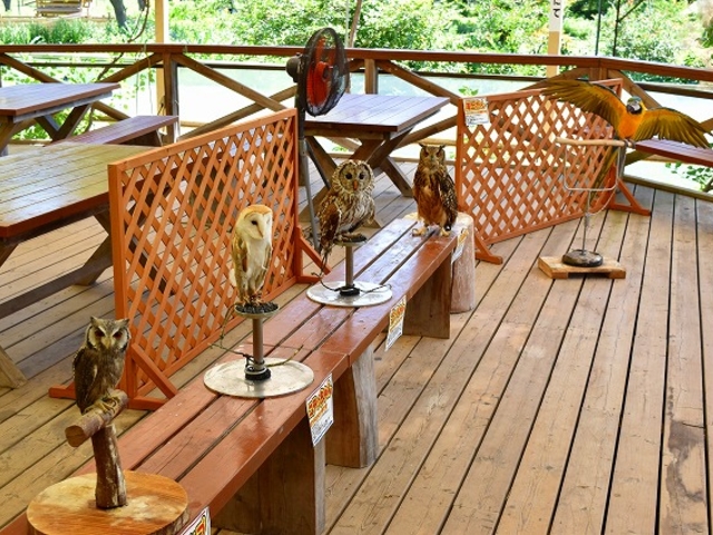 �E�F���J���o�[�h_�����Y�ӂꂠ���ǂ��Ԃ�