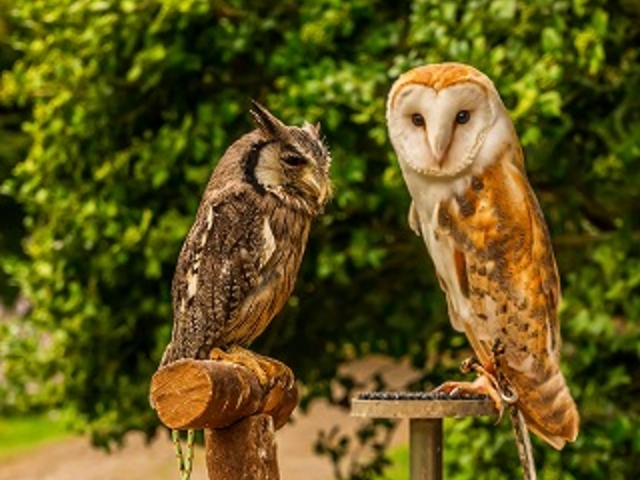 �y�`���b�v&�R�e�������z_�����Y�ӂꂠ���ǂ��Ԃ�