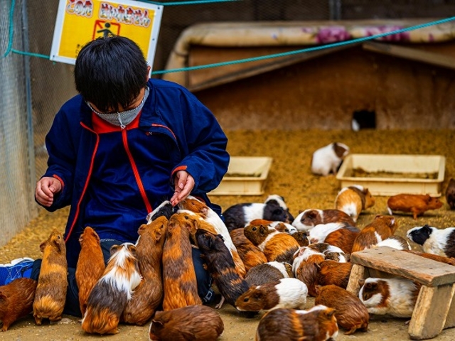 �y�������b�g�z_�����Y�ӂꂠ���ǂ��Ԃ�