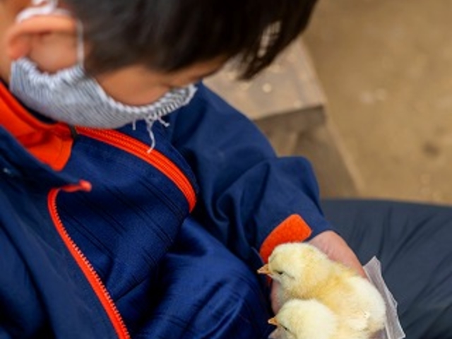 �y�q���R�z_�����Y�ӂꂠ���ǂ��Ԃ�