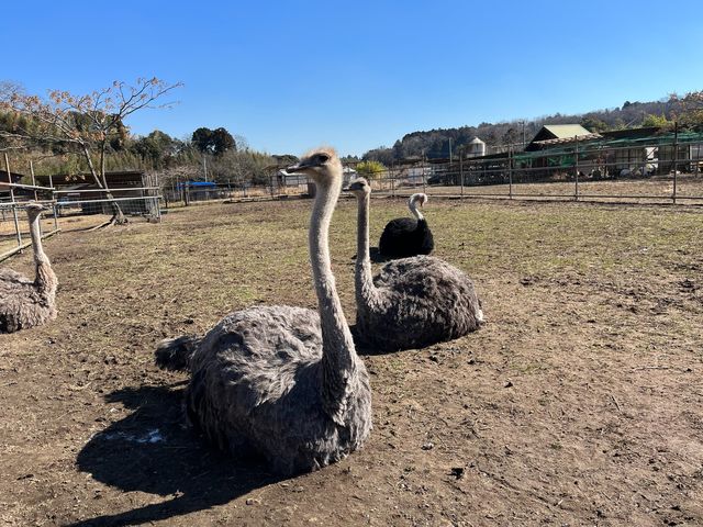 �y�_�`���E�z_�����Y�ӂꂠ���ǂ��Ԃ�