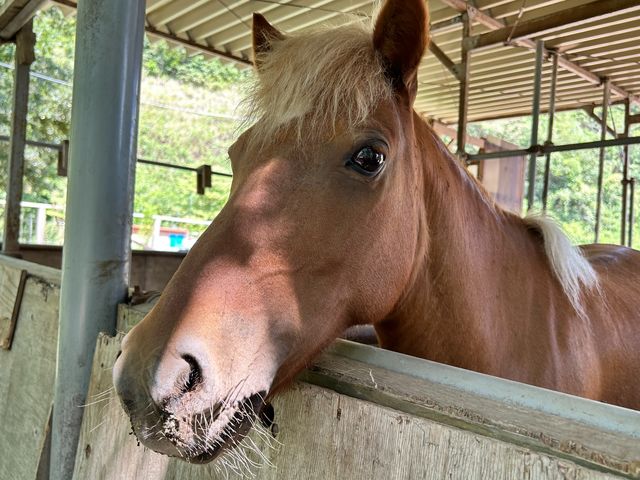 �y�|�j�[�z_�����Y�ӂꂠ���ǂ��Ԃ�