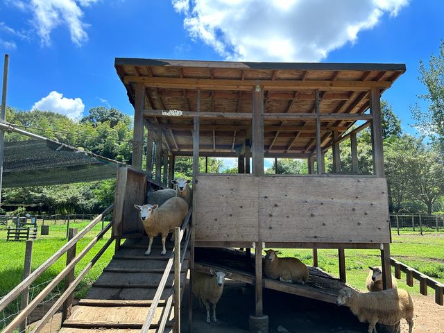 �y�q�c�W�o�Y�����z_�����Y�ӂꂠ���ǂ��Ԃ�