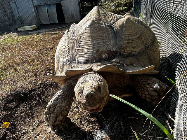 �y���N�K���z_�����Y�ӂꂠ���ǂ��Ԃ�