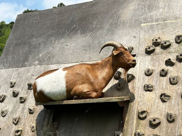 �y���M�_�����O�z_�����Y�ӂꂠ���ǂ��Ԃ�