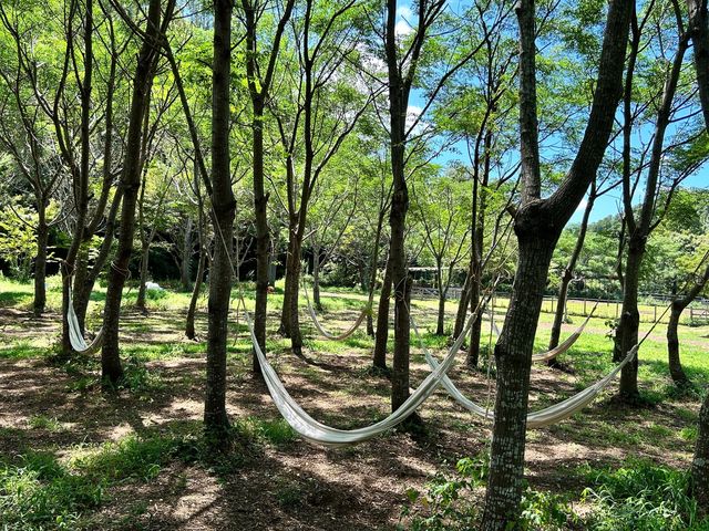 �n�����b�N�łЂƋx��_�����Y�ӂꂠ���ǂ��Ԃ�