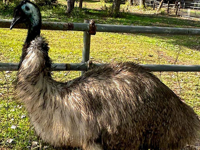 �y�G�~���[�z_�����Y�ӂꂠ���ǂ��Ԃ�