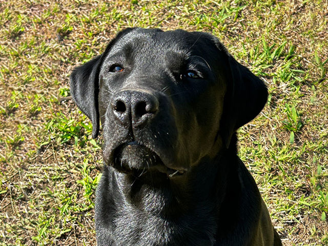 �y�C�k�z����_�����Y�ӂꂠ���ǂ��Ԃ�