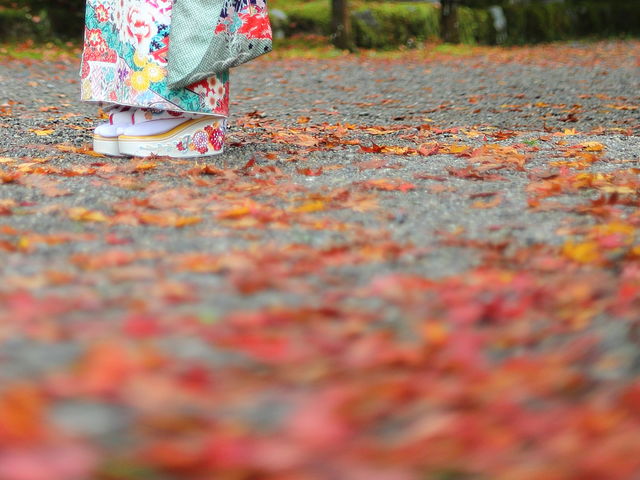 TK Photography Kanazawa