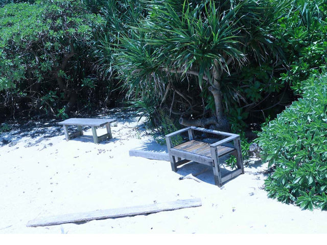 ���Ă���̎ʐ^1