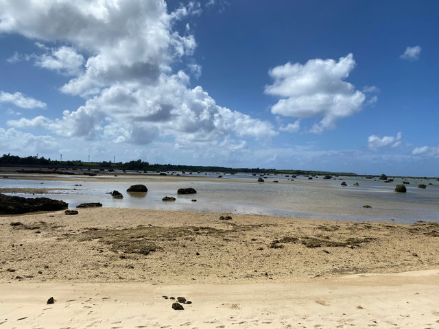 ���a�c�̕l_���Ă���