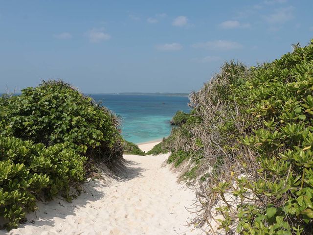 ���R_���Ă���