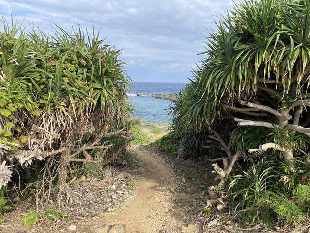 ������_���Ă���