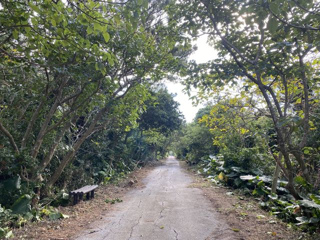 �ؘR���_���Ă���