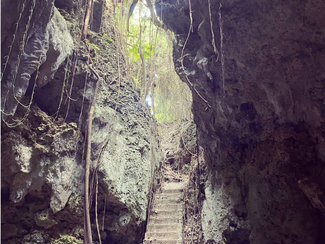 �鋫_���Ă���